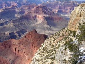 Grand Canyon / Williams KOA - Williams AZ