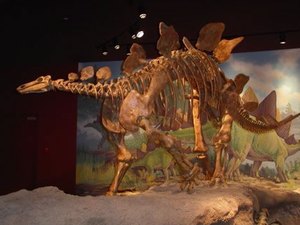 Dinosaurland KOA - Vernal UT
