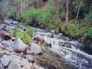 Joe Creek Waterfalls RV Resort - Grants Pass OR