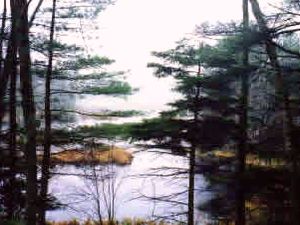 Meadowbrook Camping Area - Phippsburg ME